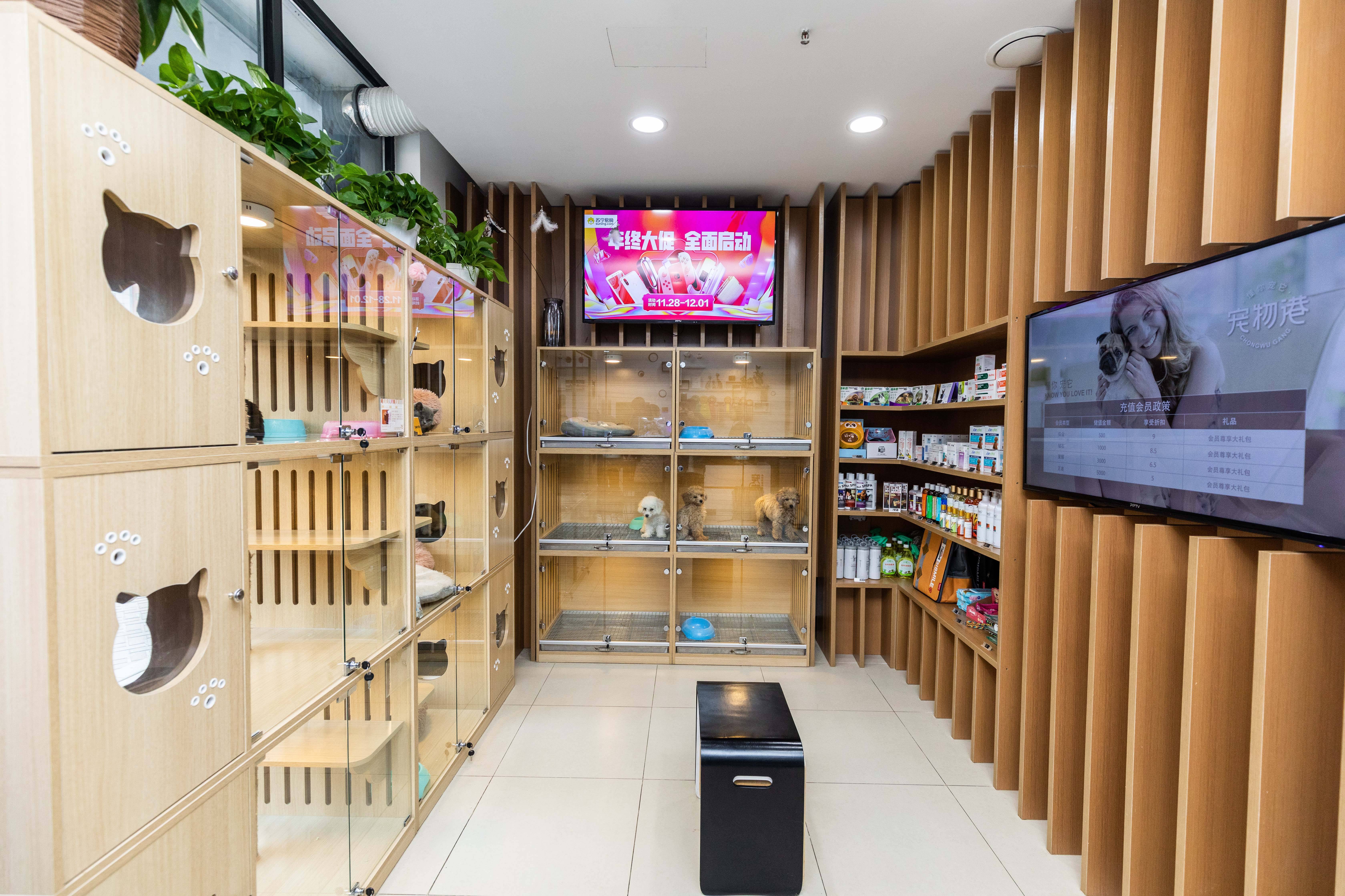 宠物店的服务怎么才算得上极致？