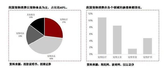 中国宠物经济爆发，宠物咬胶ODM龙头进军国内市场 宠物服务的全新布局