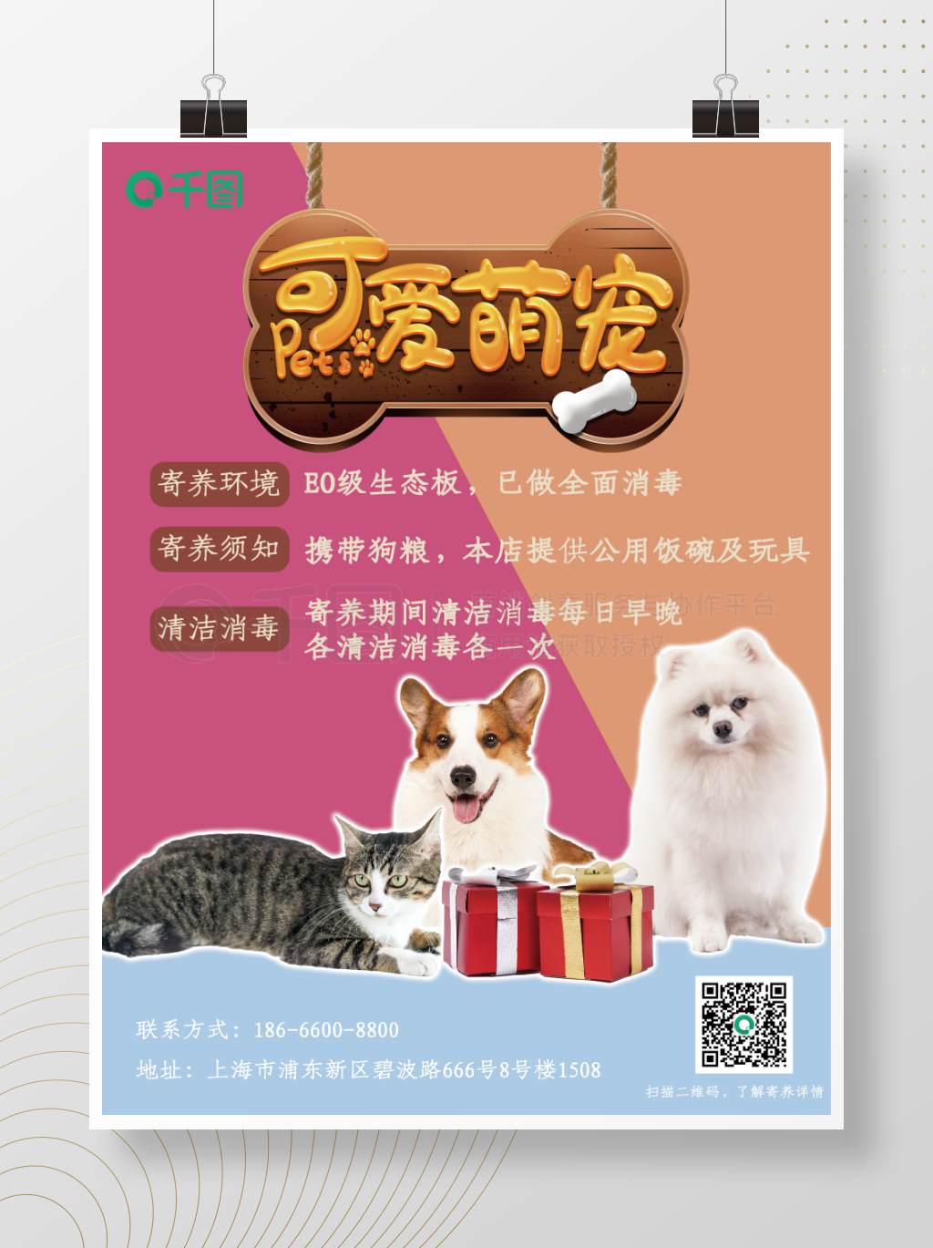 【萌爪寄养】让爱宠享受梦幻假期——宠物寄养服务全新上线